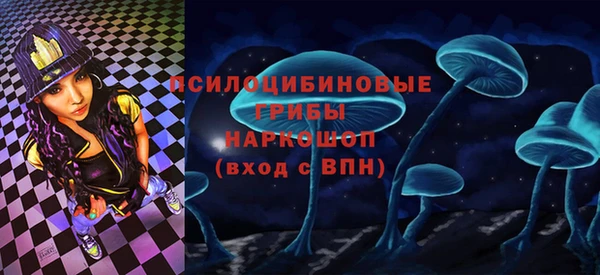 ECSTASY Алексеевка