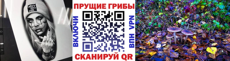Псилоцибиновые грибы прущие грибы  Тында 
